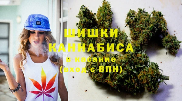 ECSTASY Заводоуковск