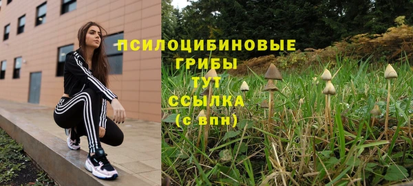 ECSTASY Заводоуковск