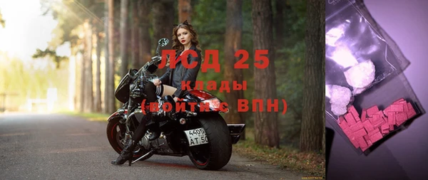 ПСИЛОЦИБИНОВЫЕ ГРИБЫ Заволжск
