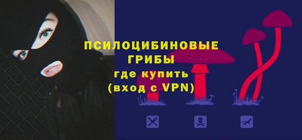 ПСИЛОЦИБИНОВЫЕ ГРИБЫ Заволжск