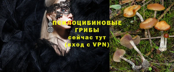 ПСИЛОЦИБИНОВЫЕ ГРИБЫ Заволжск