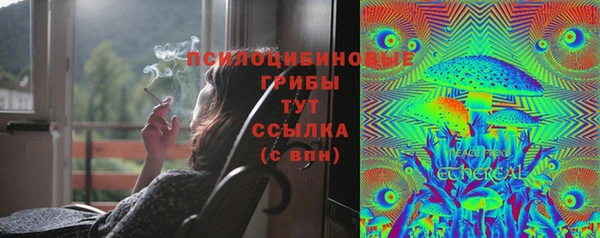 ПСИЛОЦИБИНОВЫЕ ГРИБЫ Заволжск