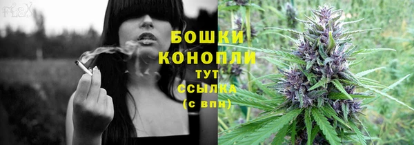 ПСИЛОЦИБИНОВЫЕ ГРИБЫ Заволжск