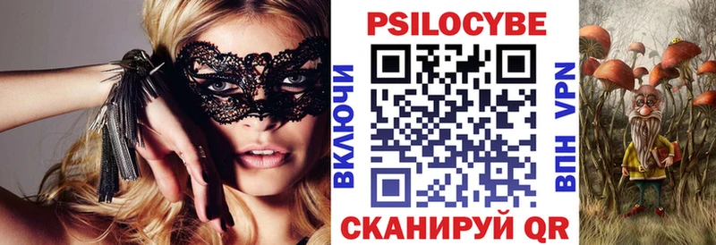 Псилоцибиновые грибы Cubensis  Купить где  Демидов 