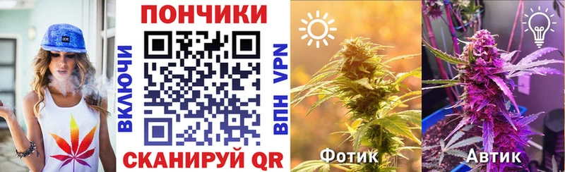 Каннабис тримм  Купить закладки  Демидов 